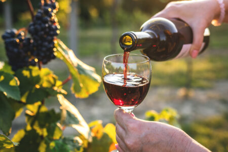 Growing Grapes from Cuttings for Homemade Wine Image
